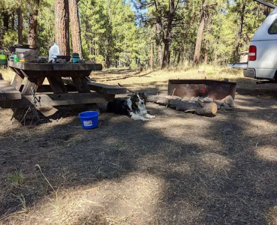 Elkhorn Campground