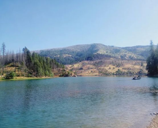 Boy Scout Cove Camp