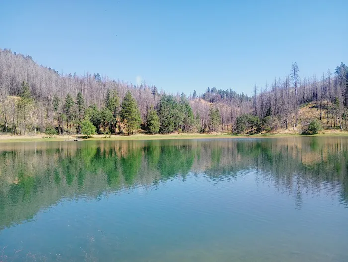 Boy Scout Cove Camp 1