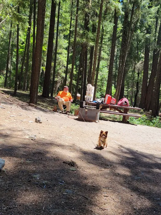 Bailey Canyon Campground 0
