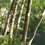 South Fork Trinity camping