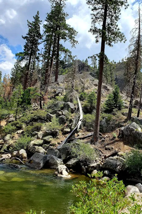 Pigeon Flat Campground 1
