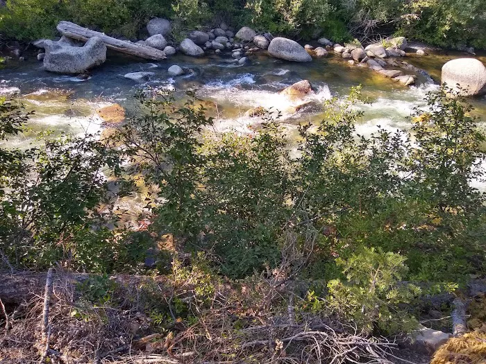 Pigeon Flat Campground 3