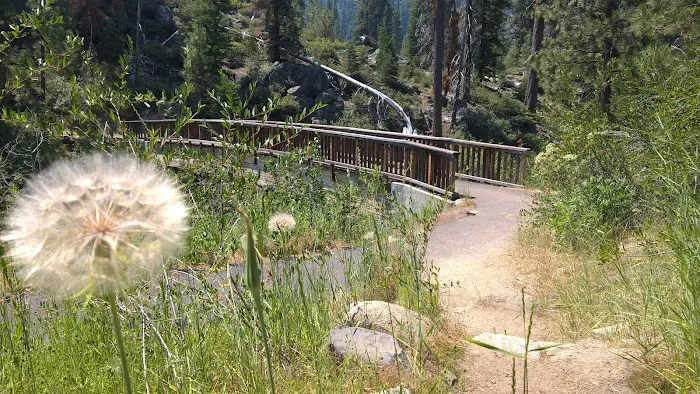 Pigeon Flat Campground 7