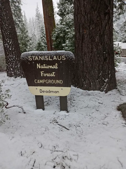 Deadman Campground 5