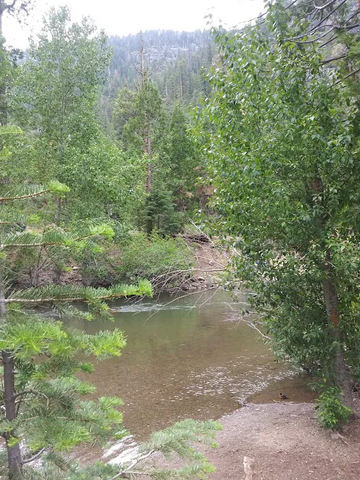 Deadman Campground 8