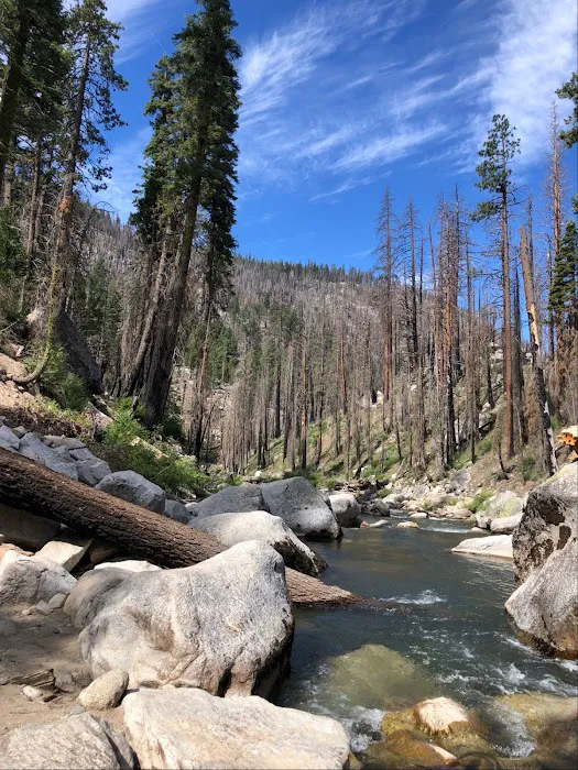 Brightman Flat Campground 1