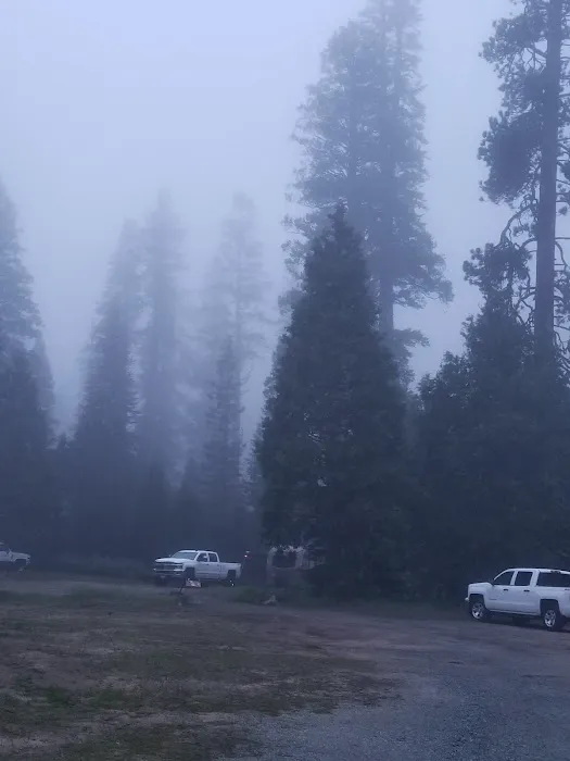 Brightman Flat Campground 4