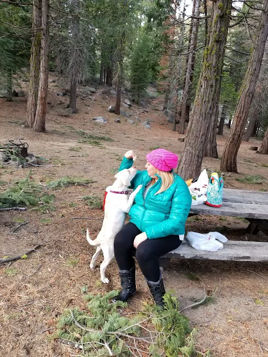 Brightman Flat Campground 8