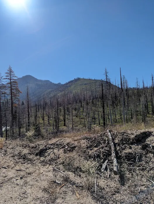 Clark Fork Campground 1