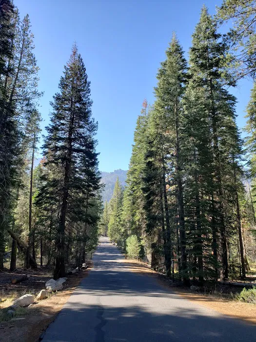 Clark Fork Campground 0
