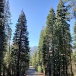 Clark Fork Campground