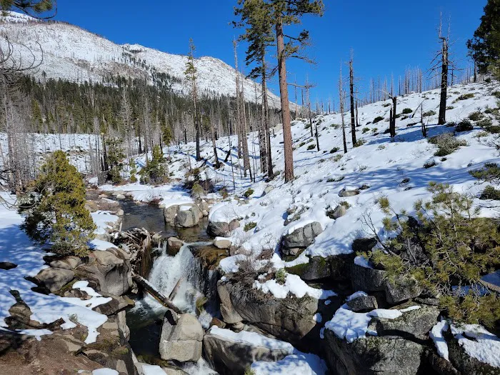 Clark Fork Campground 6