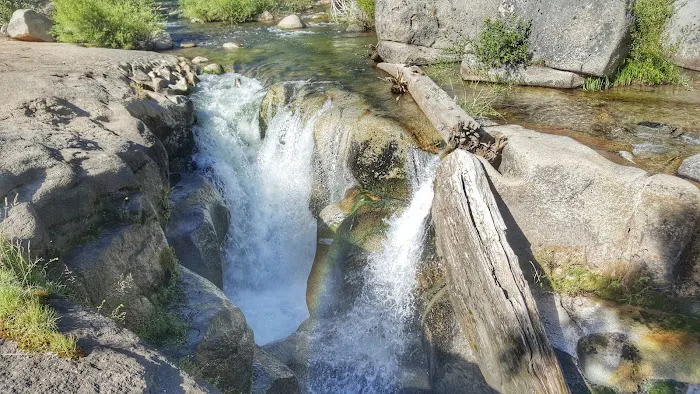 Clark Fork Campground 4