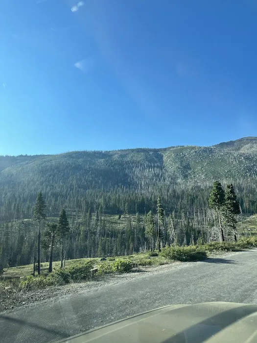 Clark Fork Campground 8