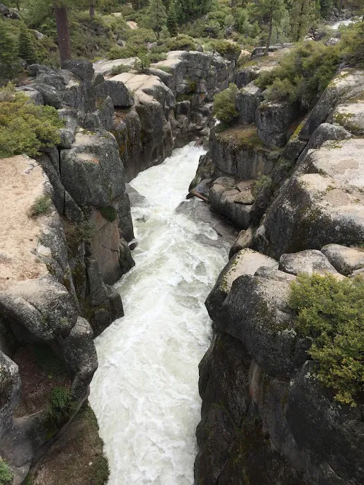 Clark Fork Campground 9