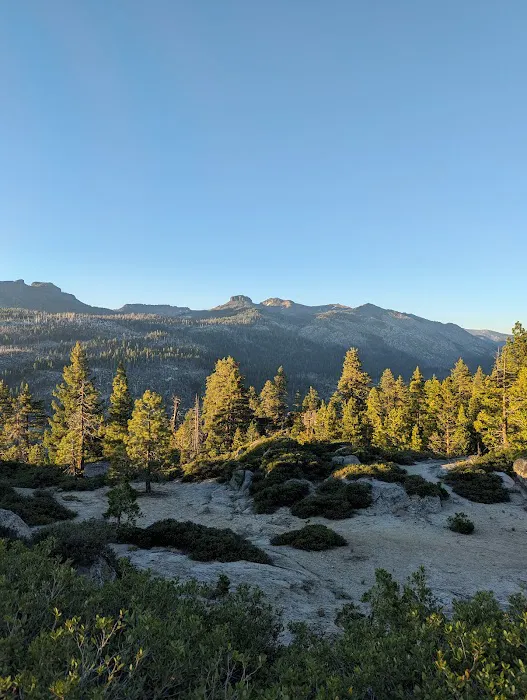 Clark Fork Campground 7