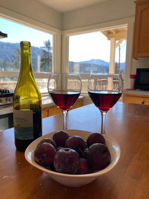 Salmon Creek Mountain View Retreat 0