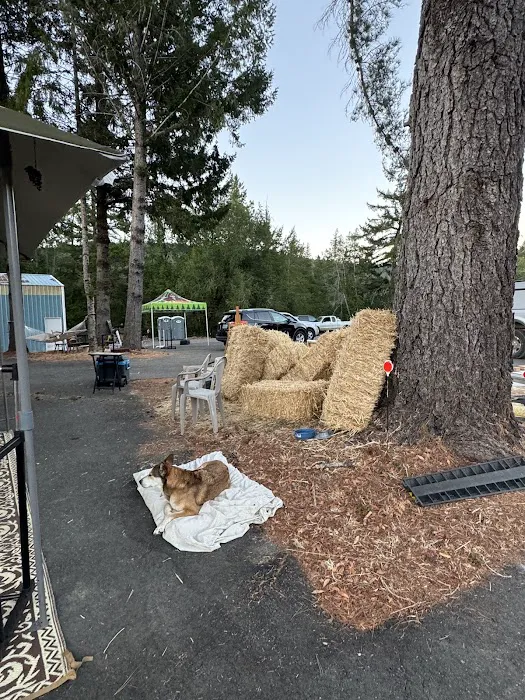 Salmon Creek Mountain View Retreat 6