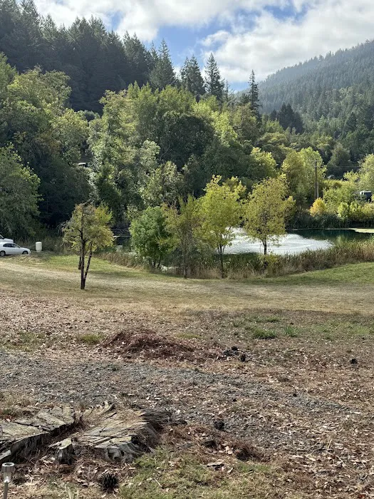 Salmon Creek Mountain View Retreat 8