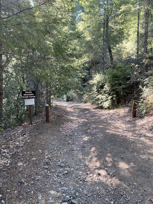 Horse Mountain Creek Camp 1