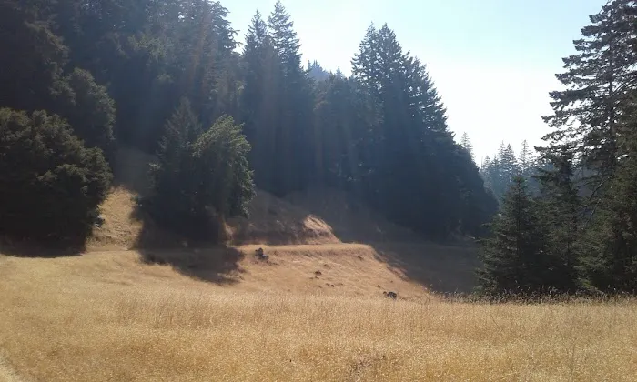 Grasshopper Peak Trail Camp 1