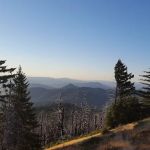 Grasshopper Peak Trail Camp