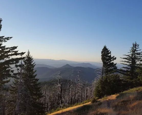 Grasshopper Peak Trail Camp