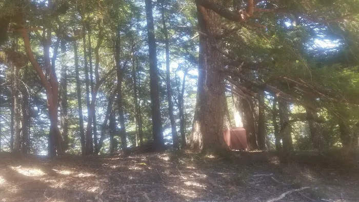 Grasshopper Peak Trail Camp 2