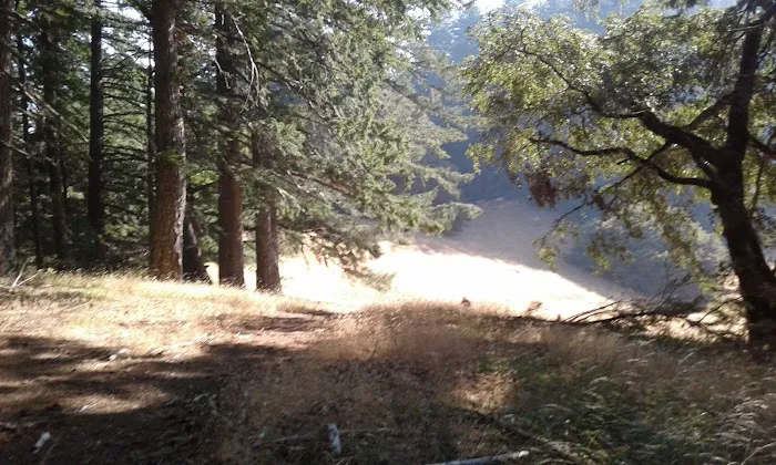 Grasshopper Peak Trail Camp 4