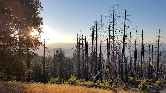 Grasshopper Peak Trail Camp 7