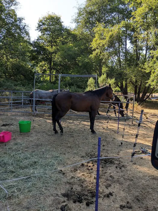 Cuneo Creek Horse Group Camp 2