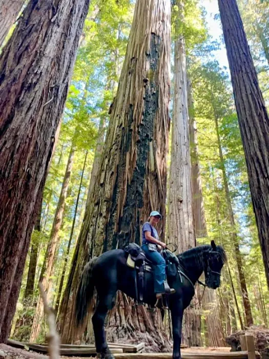 Cuneo Creek Horse Group Camp 0