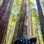 Cuneo Creek Horse Group Camp