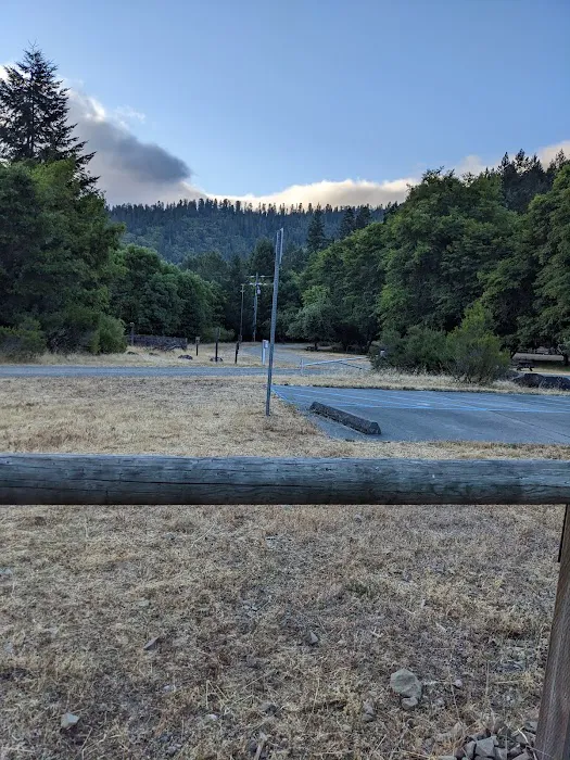Cuneo Creek Horse Group Camp 7