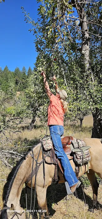 Cuneo Creek Horse Group Camp 8
