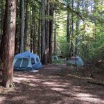 Baxter Environmental Camp