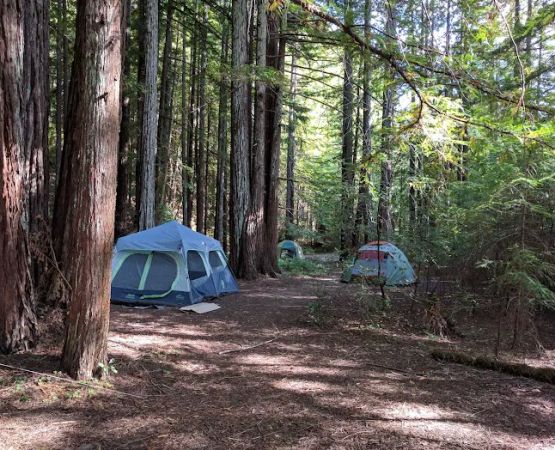Baxter Environmental Camp