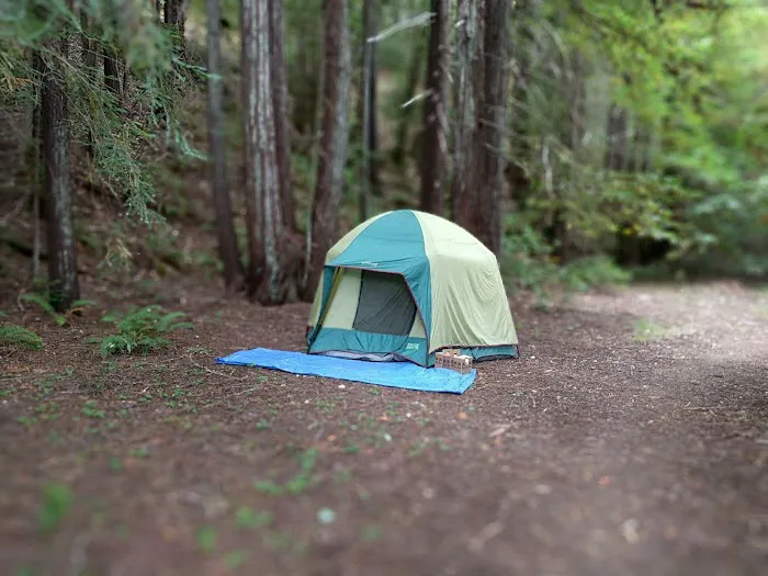 Baxter Environmental Camp 6