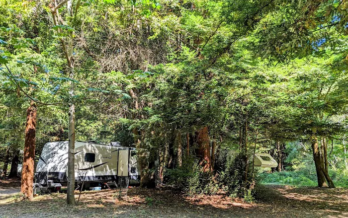 Redwood Area Camp 8