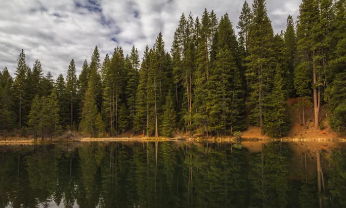 Hayden Flat Campground 9