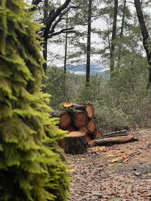 Slide Creek Campground 8