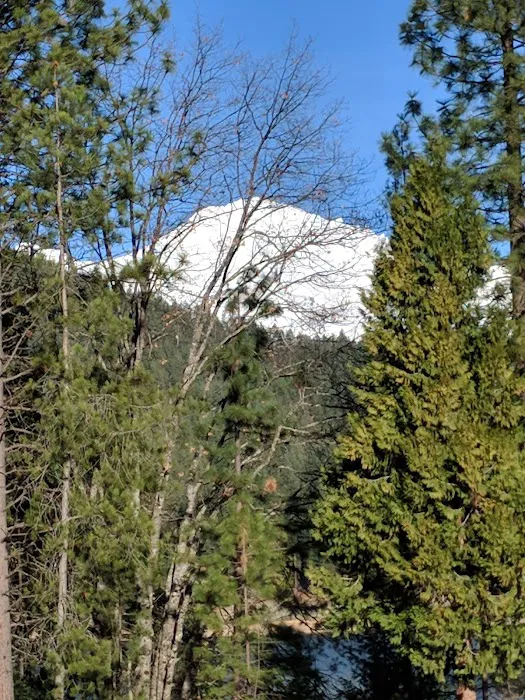 US Forest Service Ranger Station 6