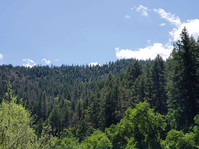 Skunk Point Group Campground 0