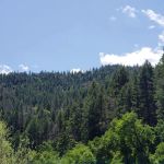 Skunk Point Group Campground