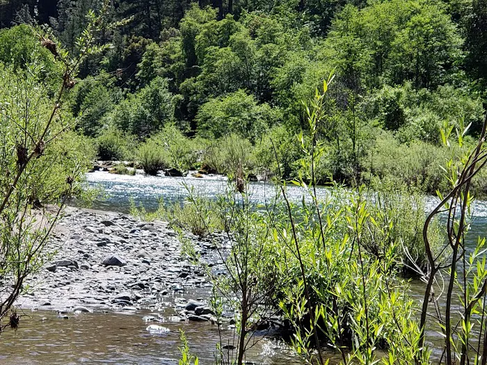 Skunk Point Group Campground 4