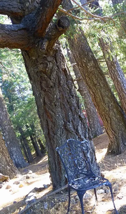 The Ridgetop Camp 8