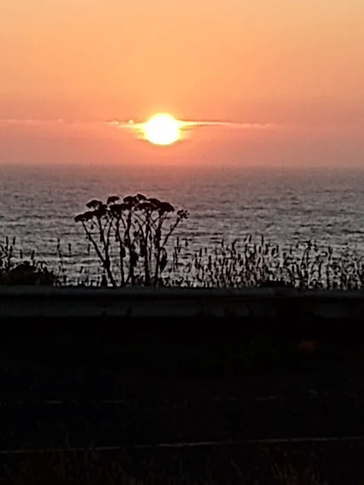 Abalone Point Campground 4