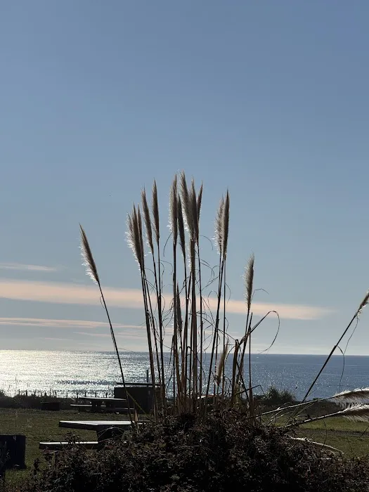 Abalone Point Campground 5