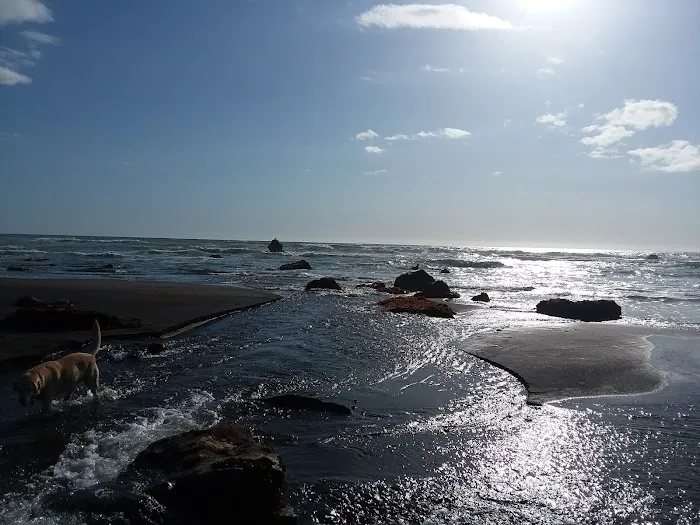 Westport Beach RV Park and Campground 6